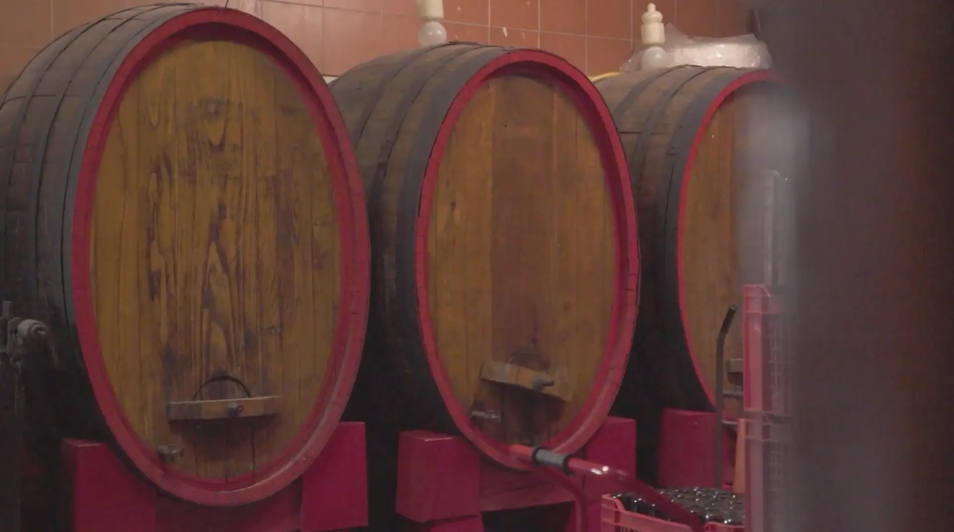 Le botti in cantina